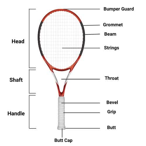 How to Select a Tennis Racket & Grip Size RACKET SPORTS.in