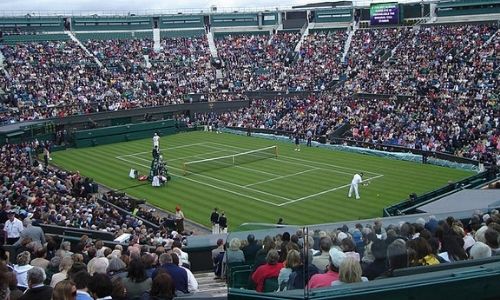 Grass court for playing tennis