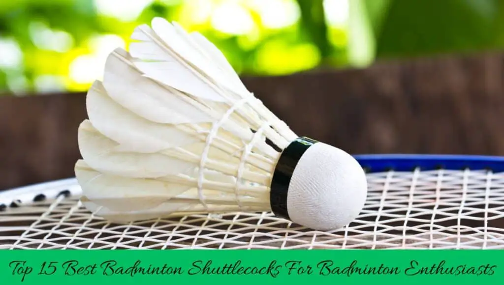 Reviews of the 15 best badminton shuttlecocks