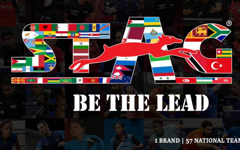 Stag, the best table tennis table brand in India