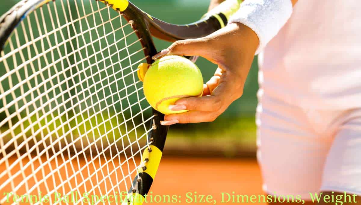 Tennis Ball Specifications Size, Weight, & All Other Facts RACKET